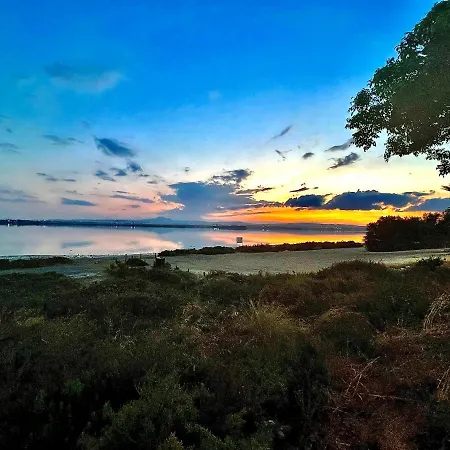 Lina 25 ラルナカ